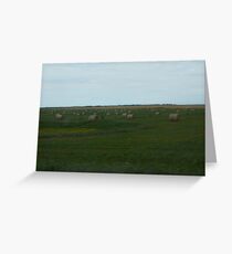 Prairies Greeting Card