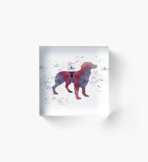 Brittany Spaniel Acrylic Block