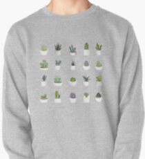 Succulents Pullover
