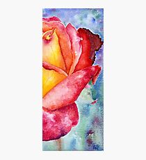 Right side of the Rose Photographic Print