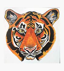 Tiger Mascot Photographic Print