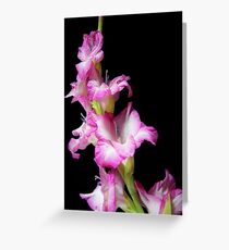 Glow In The Dark Greeting Card