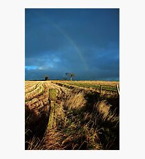 Rihanna Tree Bangor Photographic Print