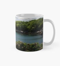 The Cove Classic Mug
