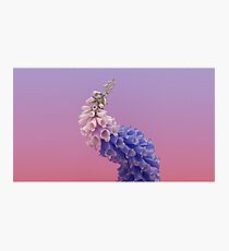 Flume flower artwork Photographic Print