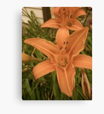 Flower Canvas Print