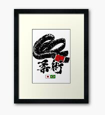 Brazilian Jiu Jitsu Framed Print