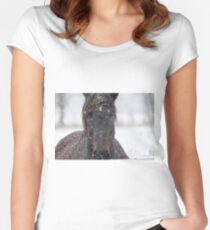 Horse in Snowstorm Women's Fitted Scoop T-Shirt