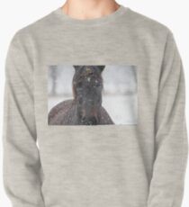 Horse in Snowstorm Pullover