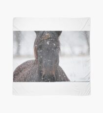 Horse in Snowstorm Scarf