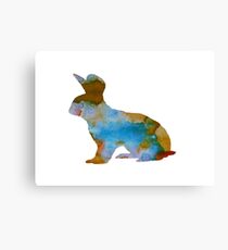 Hase Leinwanddruck