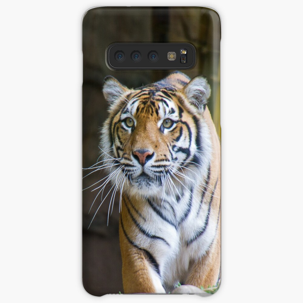 Tiger Case & Skin for Samsung Galaxy