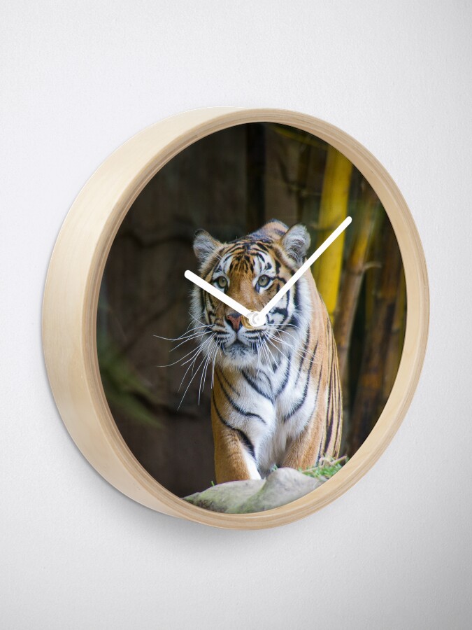 Alternate view of Tiger Clock