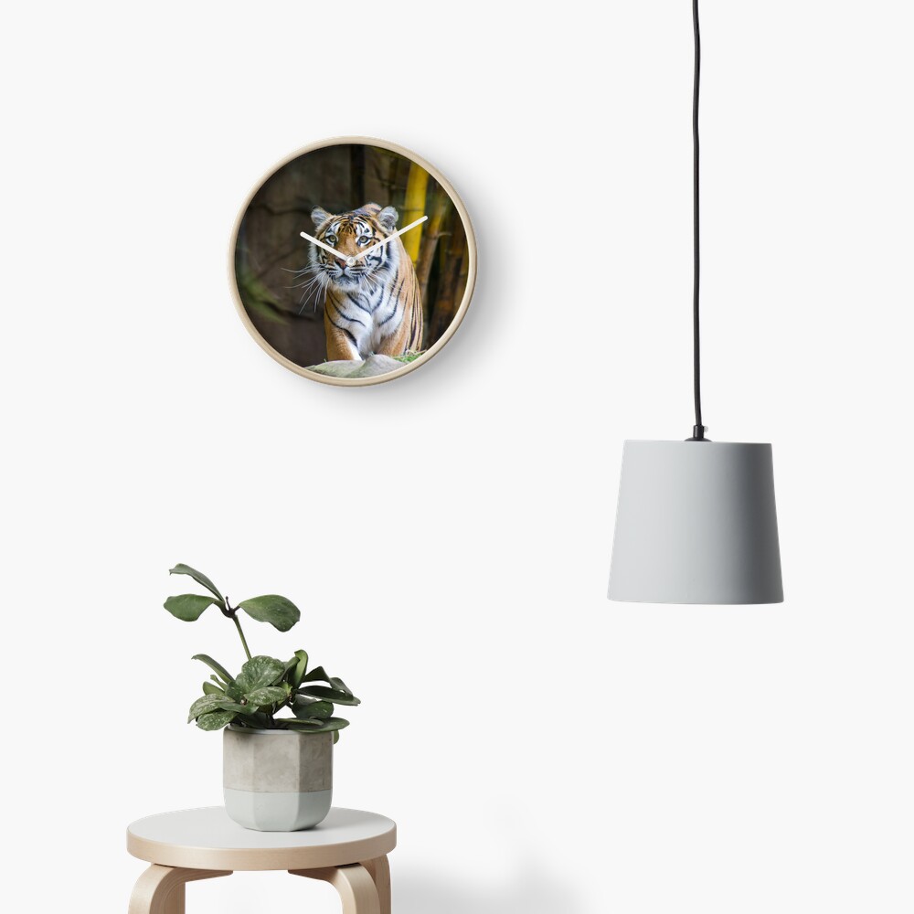 Tiger Clock