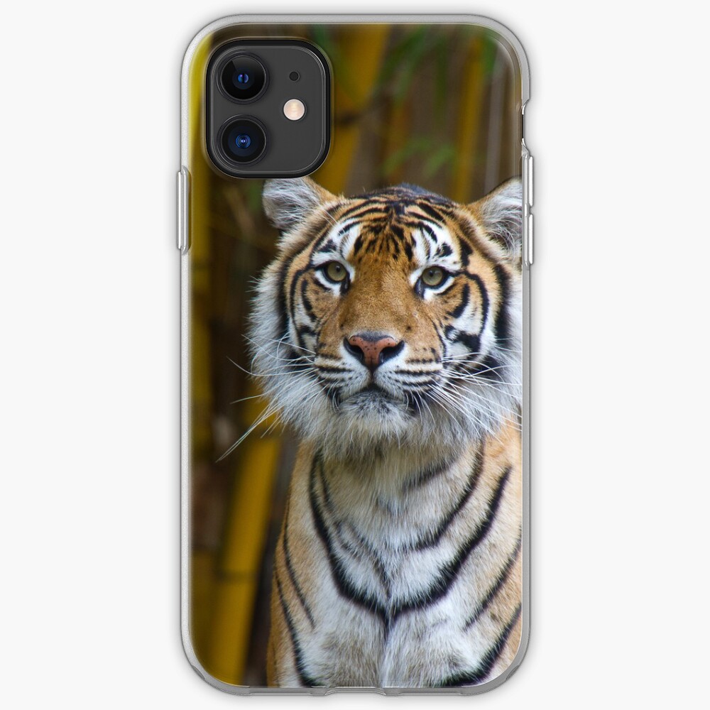 Tiger iPhone Case & Cover