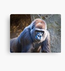 The Portrait Canvas Print