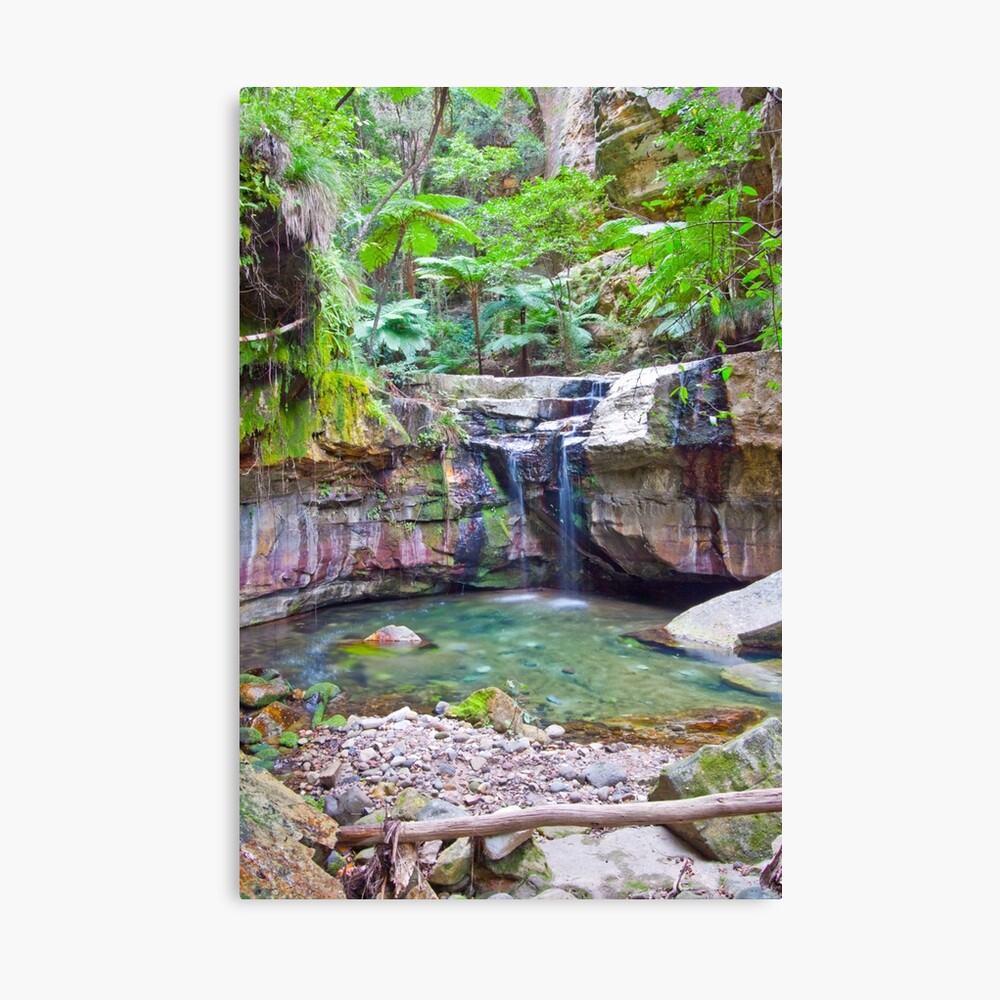 The Moss Gardens II Canvas Print