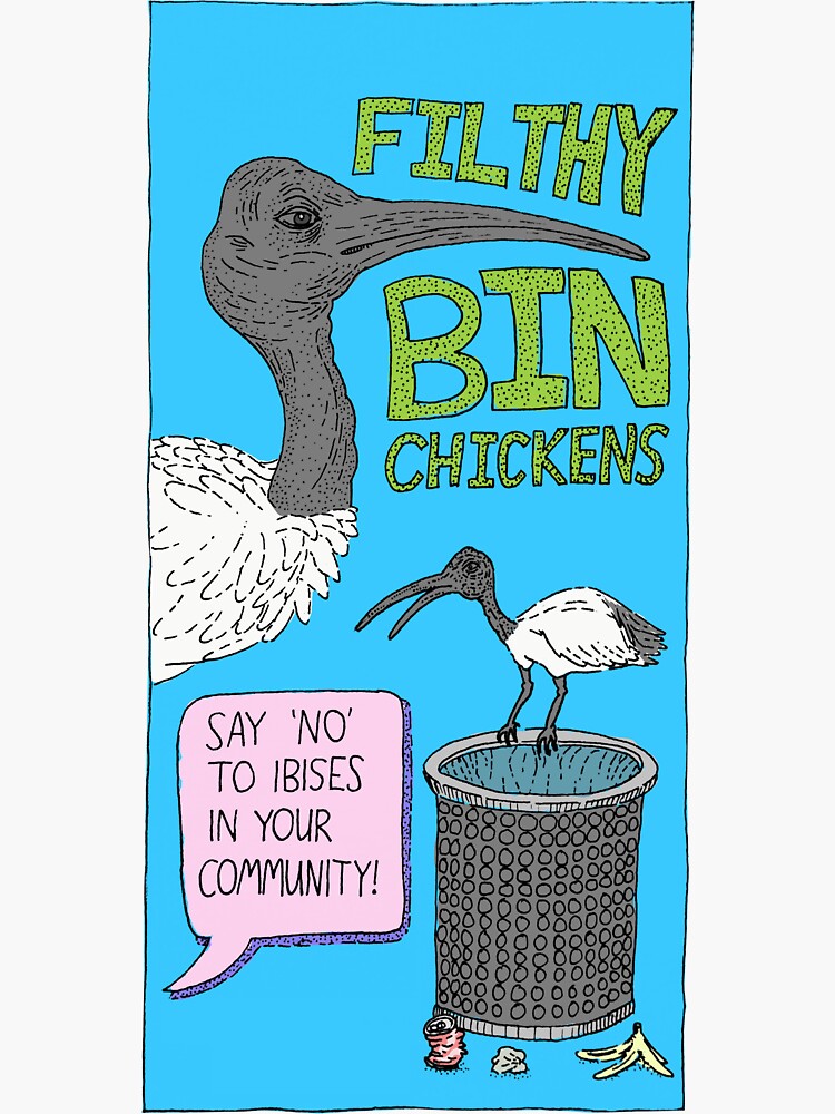 "Bin Chickens" Sticker by aidanmh Redbubble