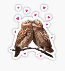 Lovely owls Sticker