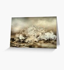 Snowflakes Greeting Card