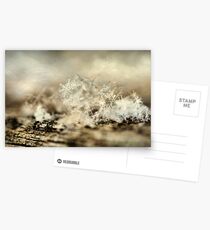 Snowflakes Postcards