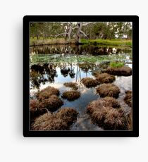 pond Canvas Print