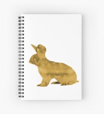 Hase Spiralblock