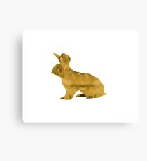 Hase Leinwanddruck