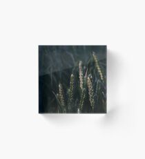 All Ears Acrylic Block