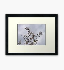 flowers Framed Print