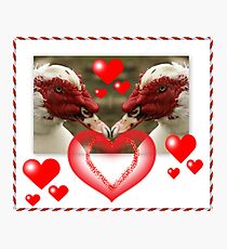 Valentines Day Challenge Photographic Print