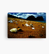 she sells sea shells on the sea shore Canvas Print
