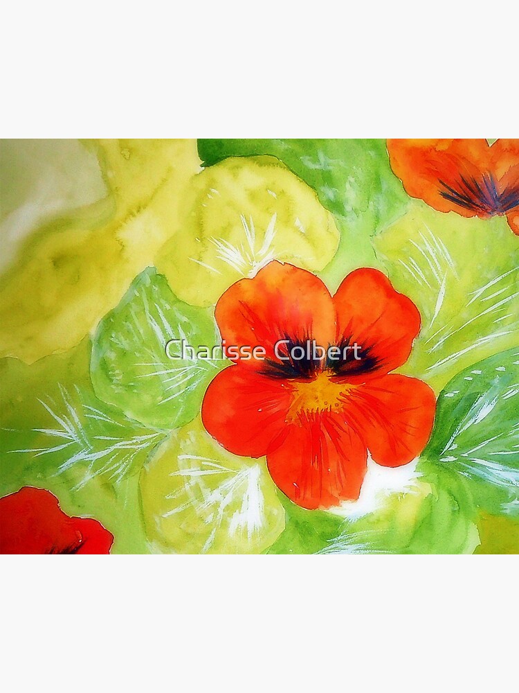 Nasturtium by charissecolbert