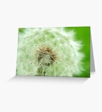 Dandy Greeting Card
