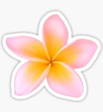 Pink Plumeria Sticker