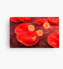 Conceptual image of plasmodium. Canvas Print