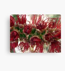 Brush Canvas Print