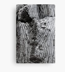 Daed coral Canvas Print