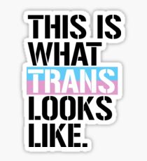 This is what Trans looks like Sticker
