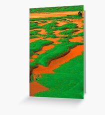 orange river Greeting Card