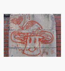 Magic Mushroom Photographic Print