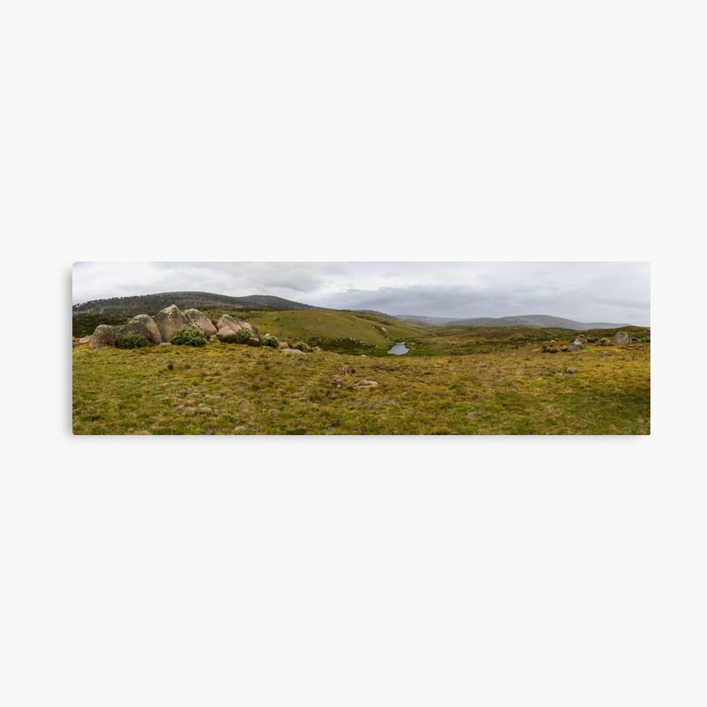 Snowy Mountains High Country Canvas Print