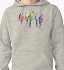 Rainbow budgie birds Pullover Hoodie