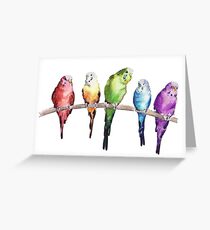 Rainbow budgie birds Greeting Card