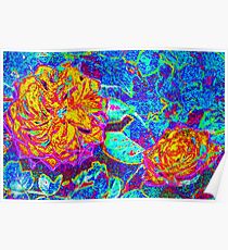 Vividly colored petals Poster