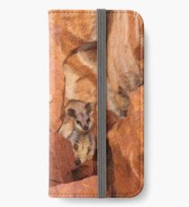 A Black-flanked Rock Wallaby iPhone Wallet/Case/Skin