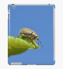 Insect macro photography iPad Case/Skin