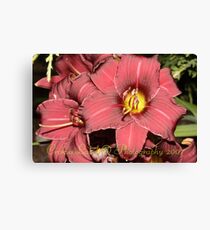 Inside a Flower Canvas Print