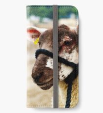 Nobby at the Beach iPhone Wallet/Case/Skin