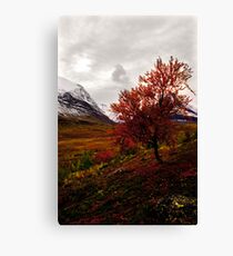 Intense Autumn Canvas Print